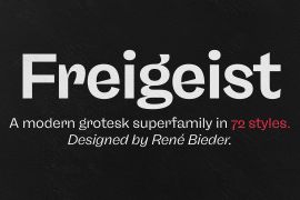 Freigeist Mono Black Italic