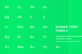 Gunar Heavy