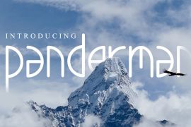 Panderman Bold