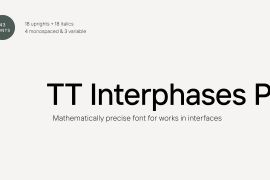 TT Interphases Pro Mono Italic