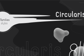Circularis Bold Alt