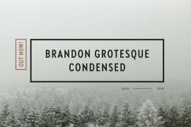 Brandon Grotesque Condensed Black Italic
