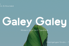 Galey Extra Bold