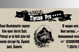 TipTop Pro Regular