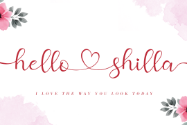 Hello Shilla Regular