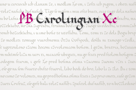 PB Carolingian Xc Regular