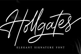 Hollgates Script