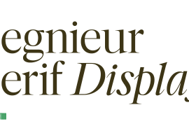 Segnieur Serif Display Italic