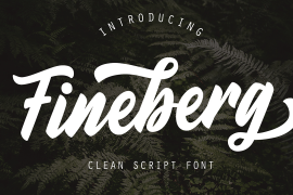 Fineberg Regular
