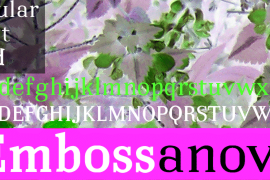 Embossanova Bold