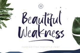 Beautifull Weakness Regular