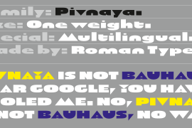 Pivnaya-Latin Regular
