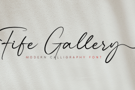 Fife Gallery Regular