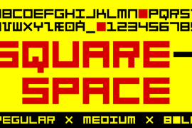 TPG SquareSpace Bold