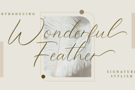 Wonderful Feather