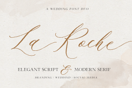 La Roche Script