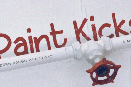 Paint Kicks Regular