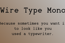 Wire Type Mono Bold Italic