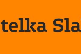 Etelka Slab Hairline