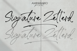 Signature Zetterd Italic