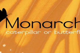 Monarch AF