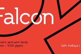 SK Falcon Bold
