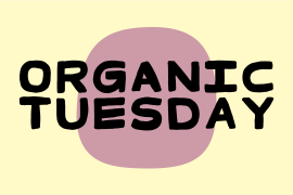 Organic Tuesday Italic