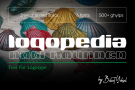 Logopedia Now Rounded 500 Regular