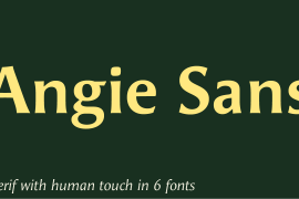 Angie Sans Std Bold Italic