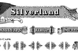 Silverland Swash