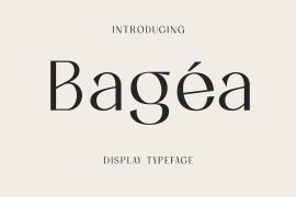 Bagea Regular