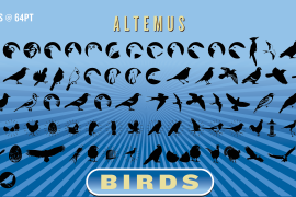 Altemus Birds Two
