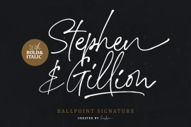 Stephen Gillion Bold