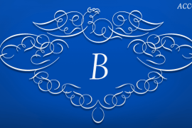 ASTYPE Ornaments Accolades B Font Style B