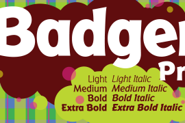 Badger Pro ExtraBold Italic