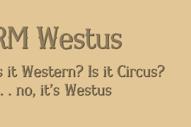 RM Westus Condensed Italic