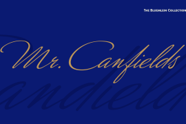Mr Canfields Pro Regular