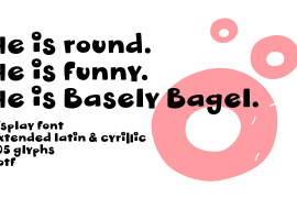 Basely Bagel Regular