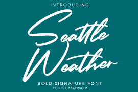 Seattle Weather Regular