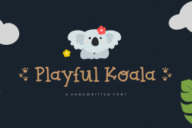 Playful Koala Regular