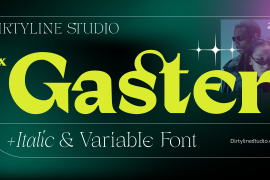 Dx Gaster Variable Italic