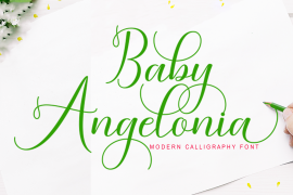 Baby Angelonia Regular