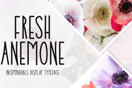 Fresh Anemone Regular