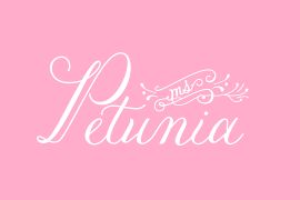 Petunia Script Bold