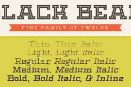 Black Bear Inline Italic
