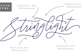 Stringlight