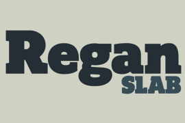 Regan Slab DemiBold