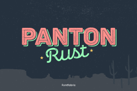 Panton Rust Script Heavy Grunge Shadow