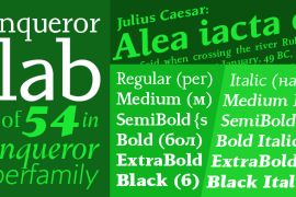 Conqueror Slab Black Italic