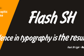 Flash SH Regular